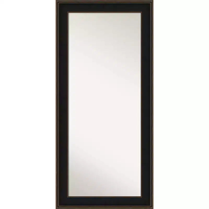 32" x 68" Espresso Wood Leaner Mirror by Amanti Art: Modern Home Decor, No Assembly Required